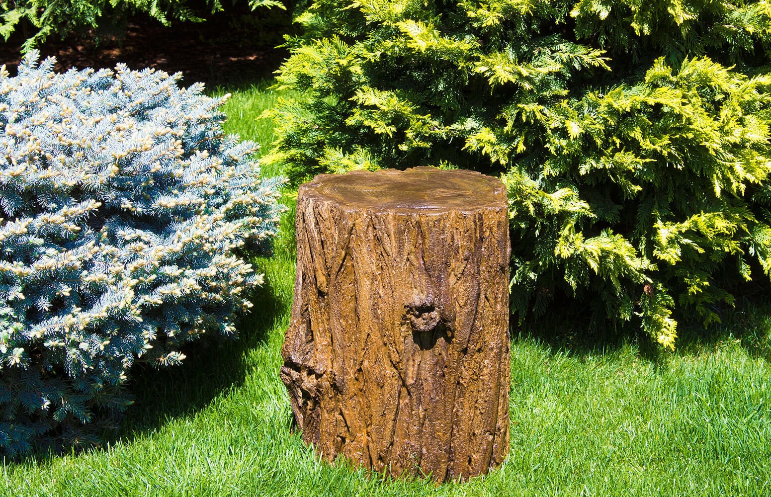 Пенёк «Moncone» — 2