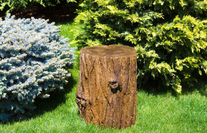 Пеньок «Moncone»-03